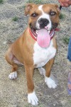 0810Buster3