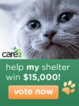 Help Forget Me Not join the ranks of America’s Favorite Shelter