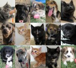Look who went home 9-12-11 to 10-1-11!