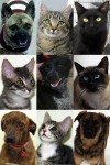 Our first 2013 adoptees!